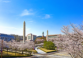 韩国庆熙大学校园环境