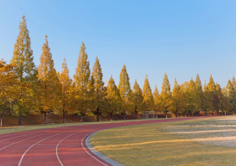 水原大学校园环境